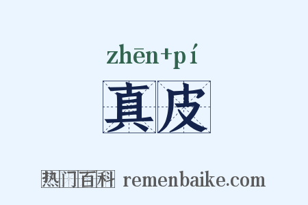 真皮是什么意思的图片